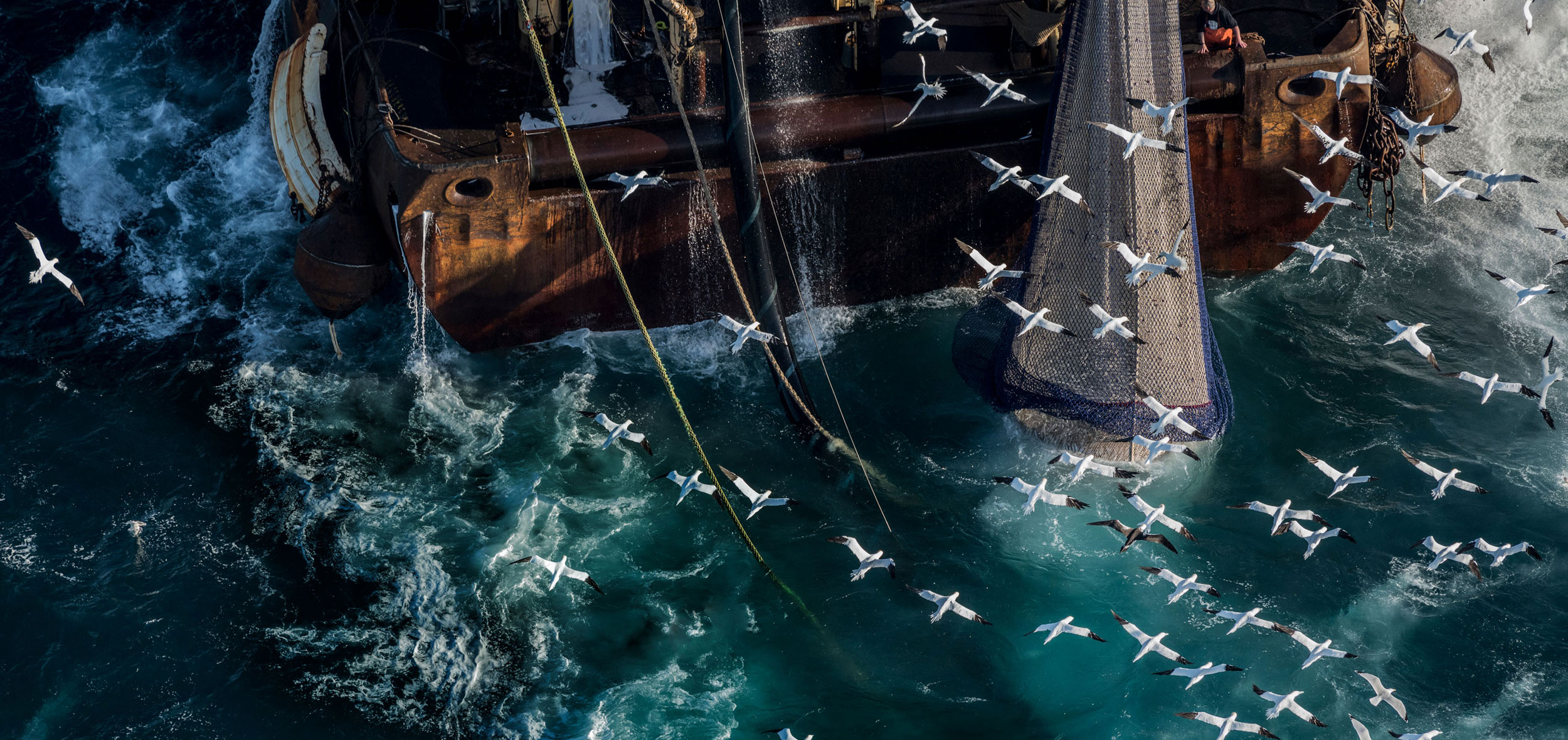 Underwater Fishing Cameras Market Progression: Navigating Growth
