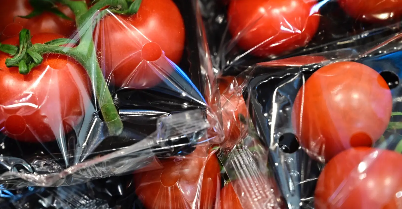 A close up of packets of truss tomatoes on black plastic trays and wrapped in plastic.