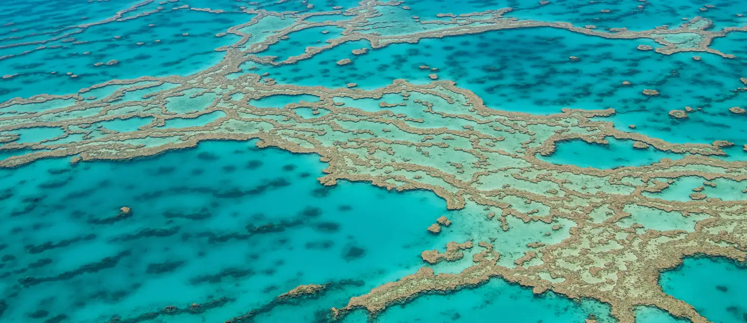 An aerial view of a section of the Great Barrier Reef, with coral outcrops looking like scribbles among the bright turquoise water.