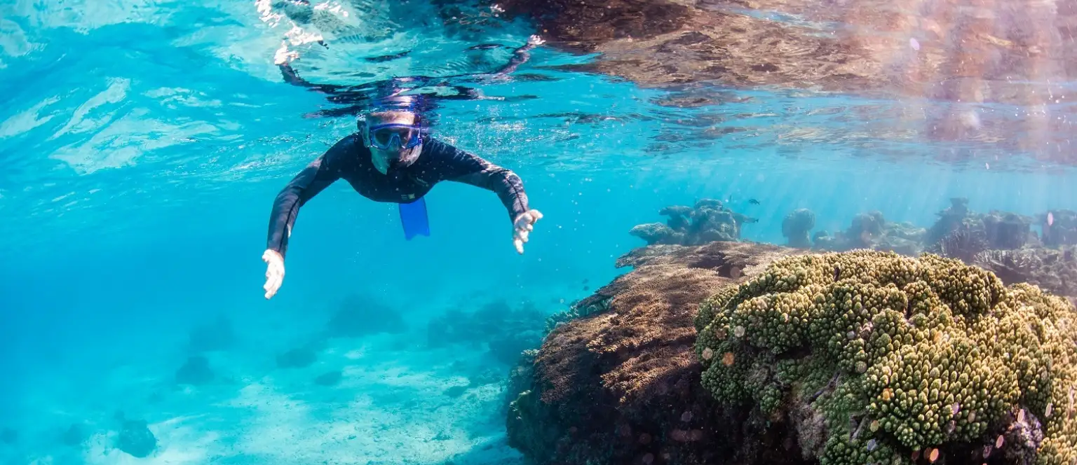 An underwater shot of a man in a wetsuit snorkelling in shallow bright blue water next to a coral reef.