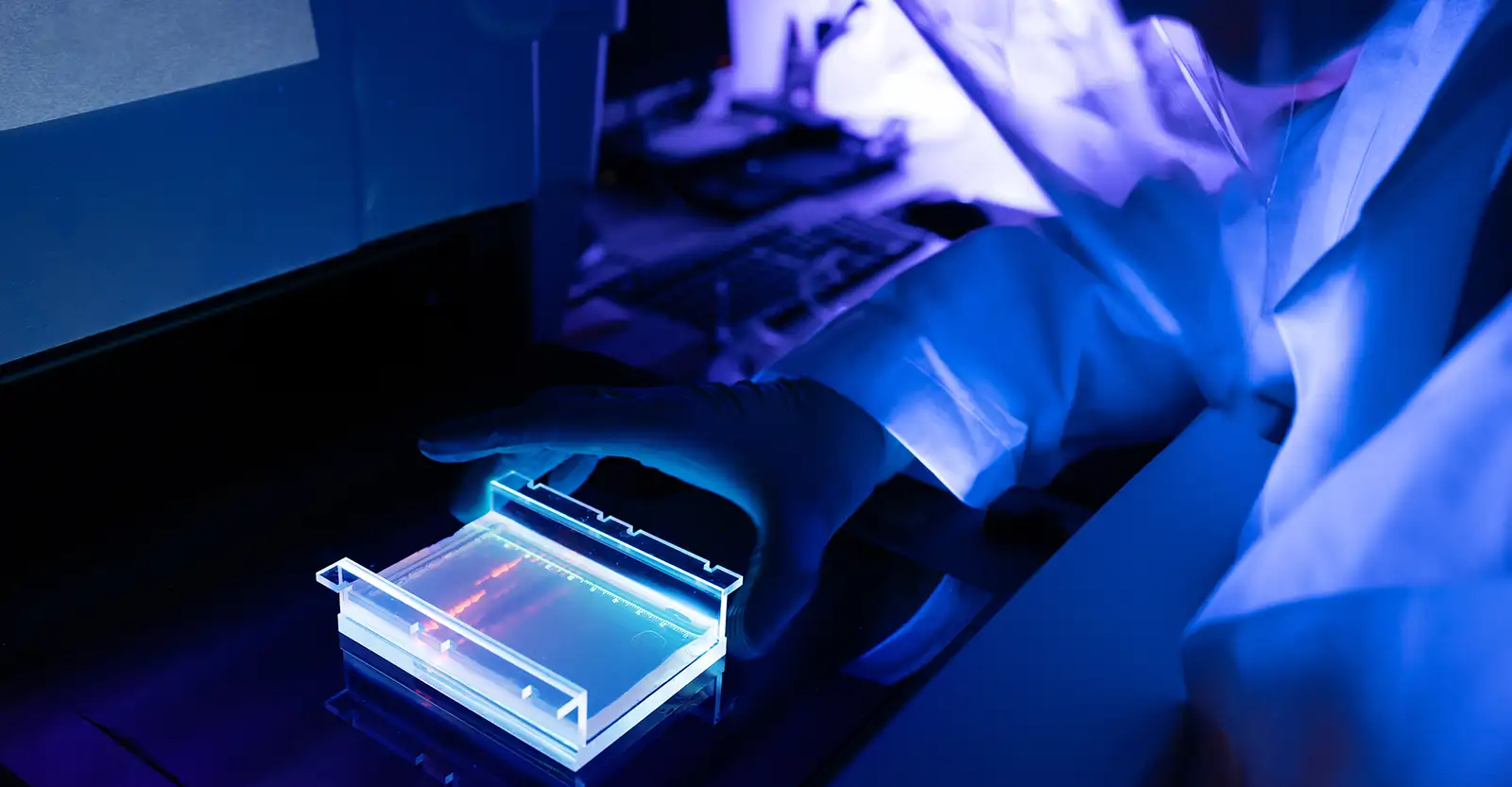 An over the shoulder shot of a researcher looking at an acrylic plate with fluorescing lines of red and green on it. The rest of the image is very blue, as though the whole room is under a UV light.