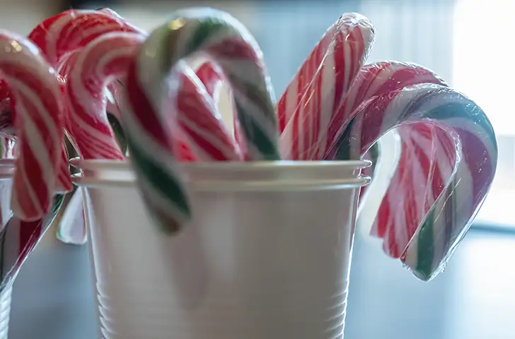 Red and white and red and green candy canes in a disposable white plastic cup.