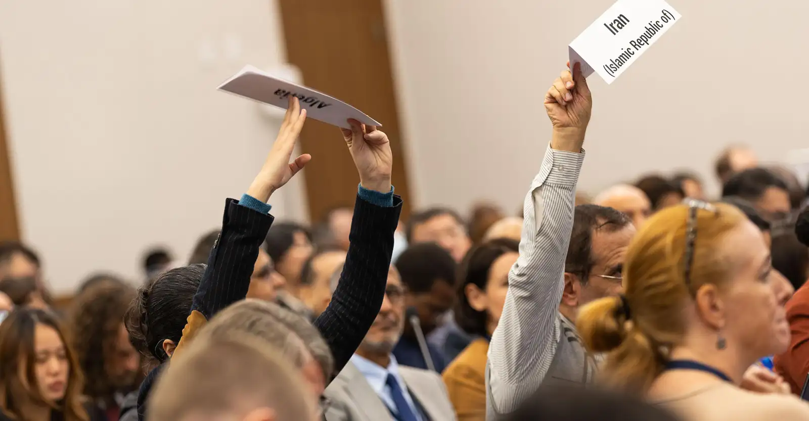 A large group of people standing together, most out of focus due to the depth of field, but two with their hands raised are in sharp focus. They are holding, respectively, paper signs that say 'Algeria' and 'Iran (Islamic Republic of)'. The photo is taken so that it shows only the shoulders and above of the people, and is at a slightly tilted angle.