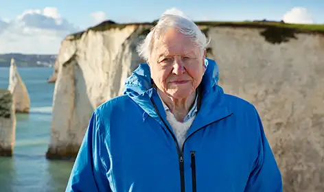David Attenborough stands on a cliff next to the ocean wearing a bright blue hiking jacket. It is a fine sunny day and the sea that can be seen is very flat and still. The cliffs are sheer and look to be made of white chalk.