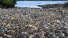 KENYA-ENVIRONMENTAL-DAY