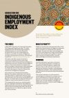 cover-indigenous-employment-index