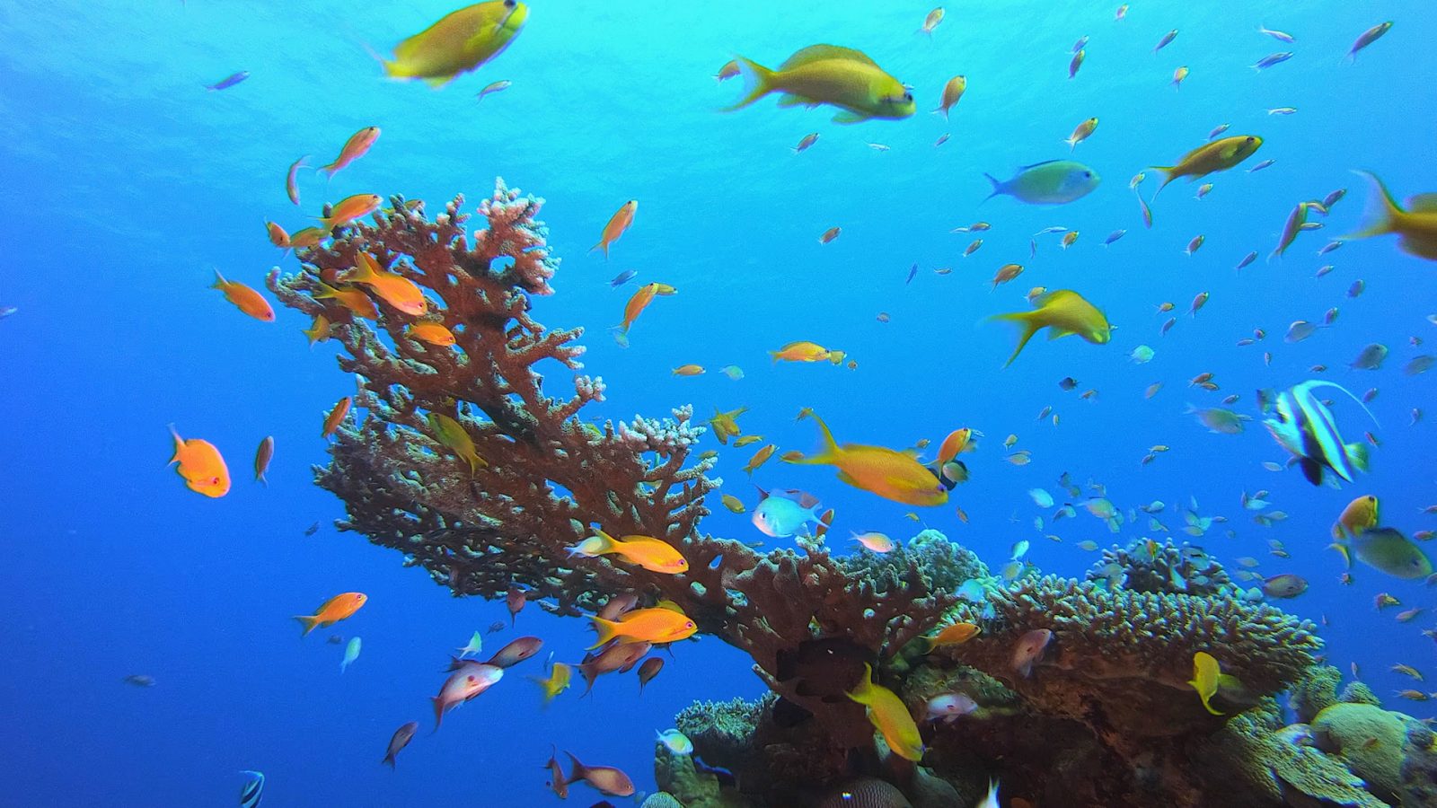 Minderoo Foundation Exmouth Research Laboratory | Flourishing Oceans ...