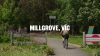 Millgrove Thumbnail